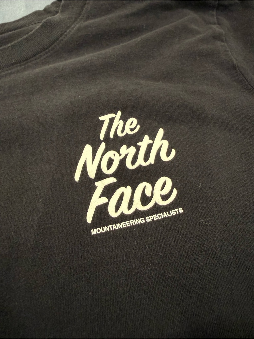 The North Face Black Crewneck Logo Long Sleeve